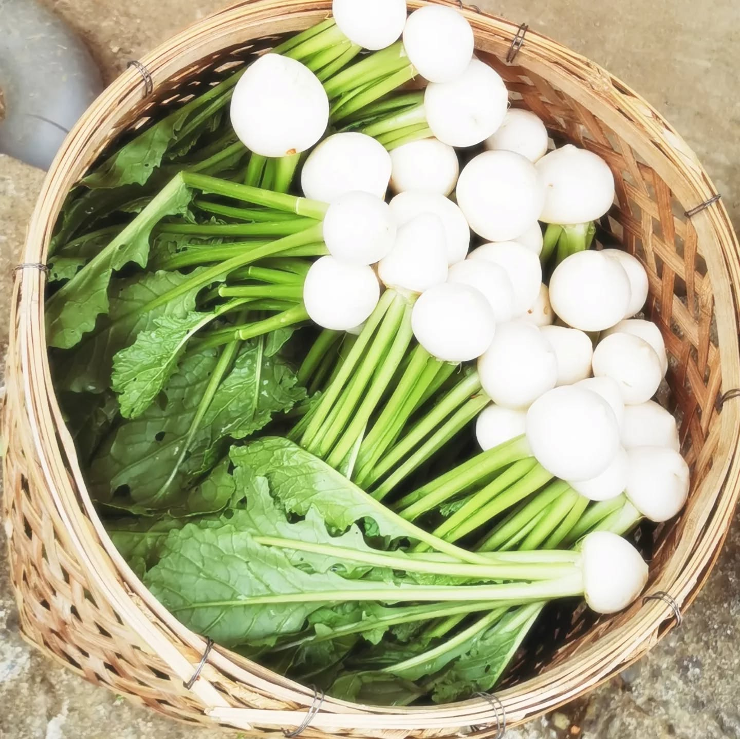 朝食を作らせてもらっている。