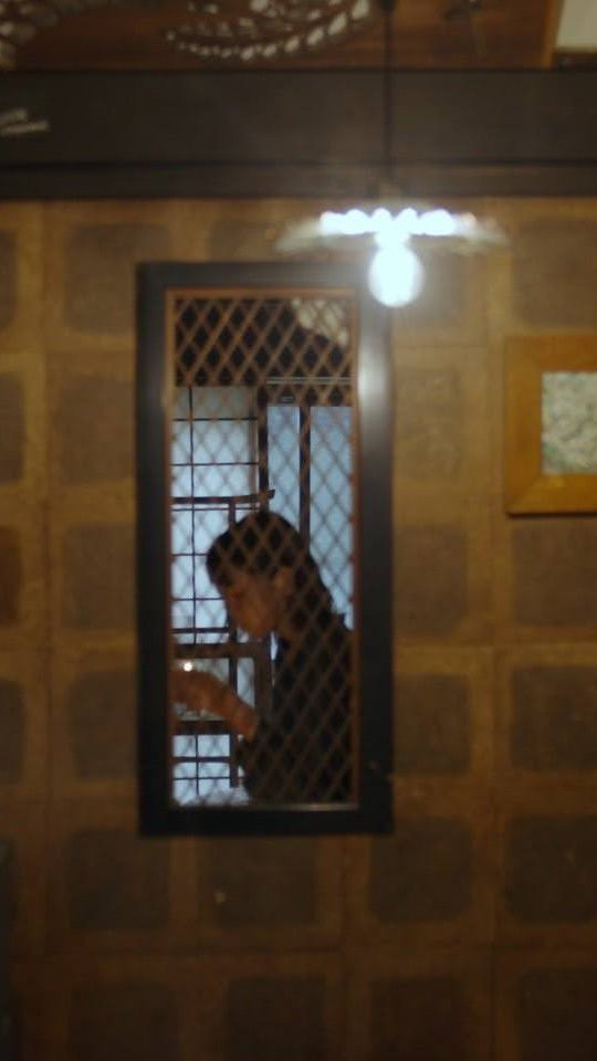 いちかわみさと