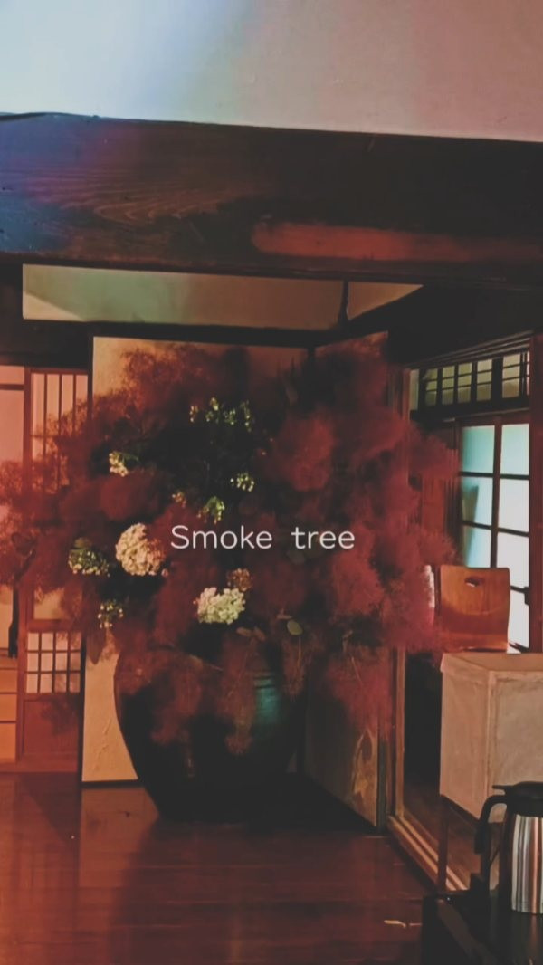 花のようで、霞のような。