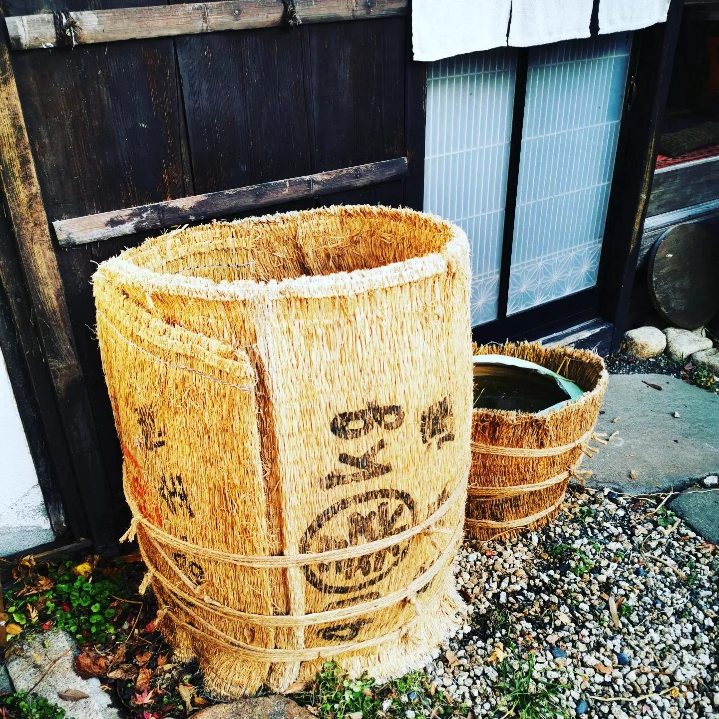 メダカの冬支度。