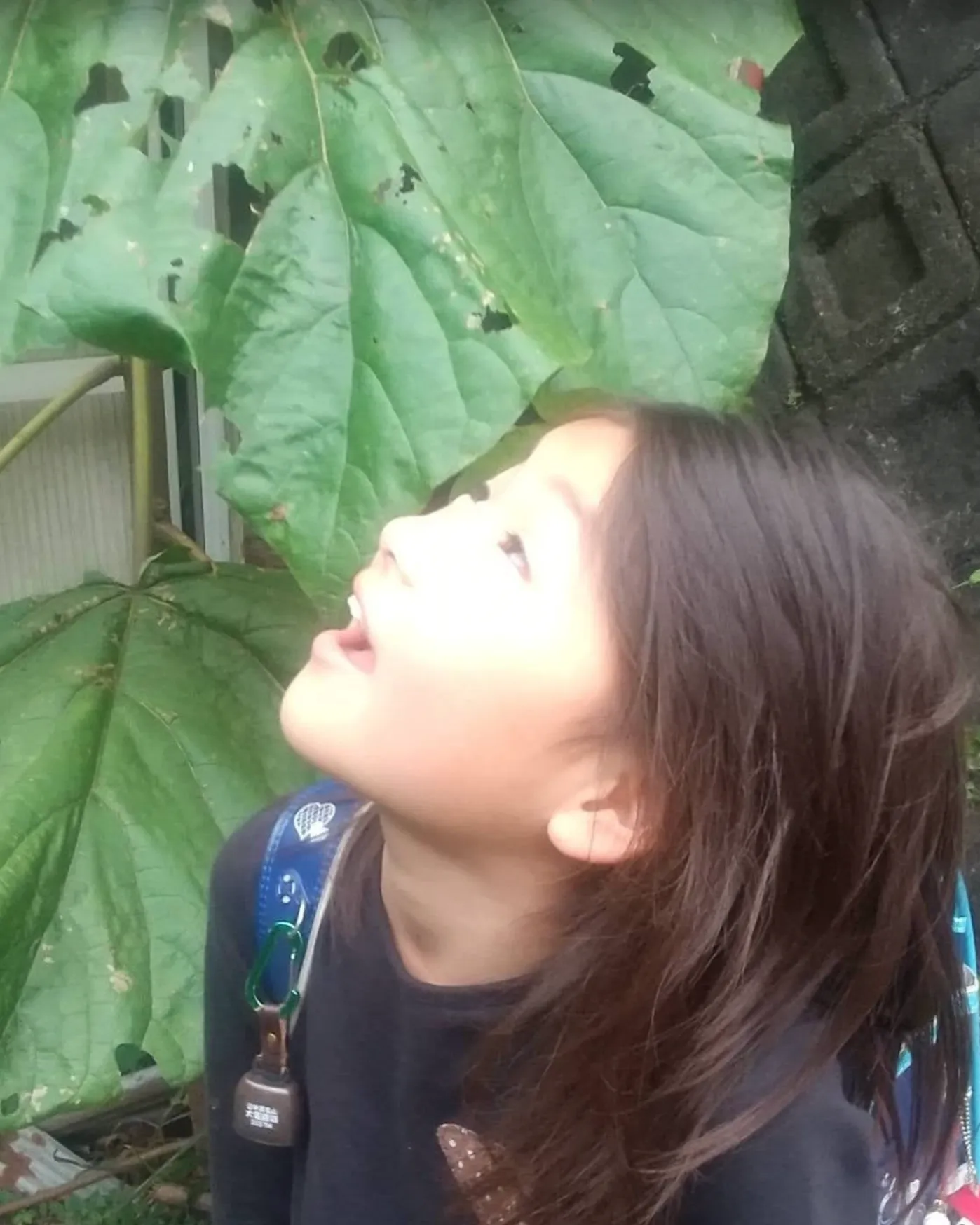 ちかはぎの六花