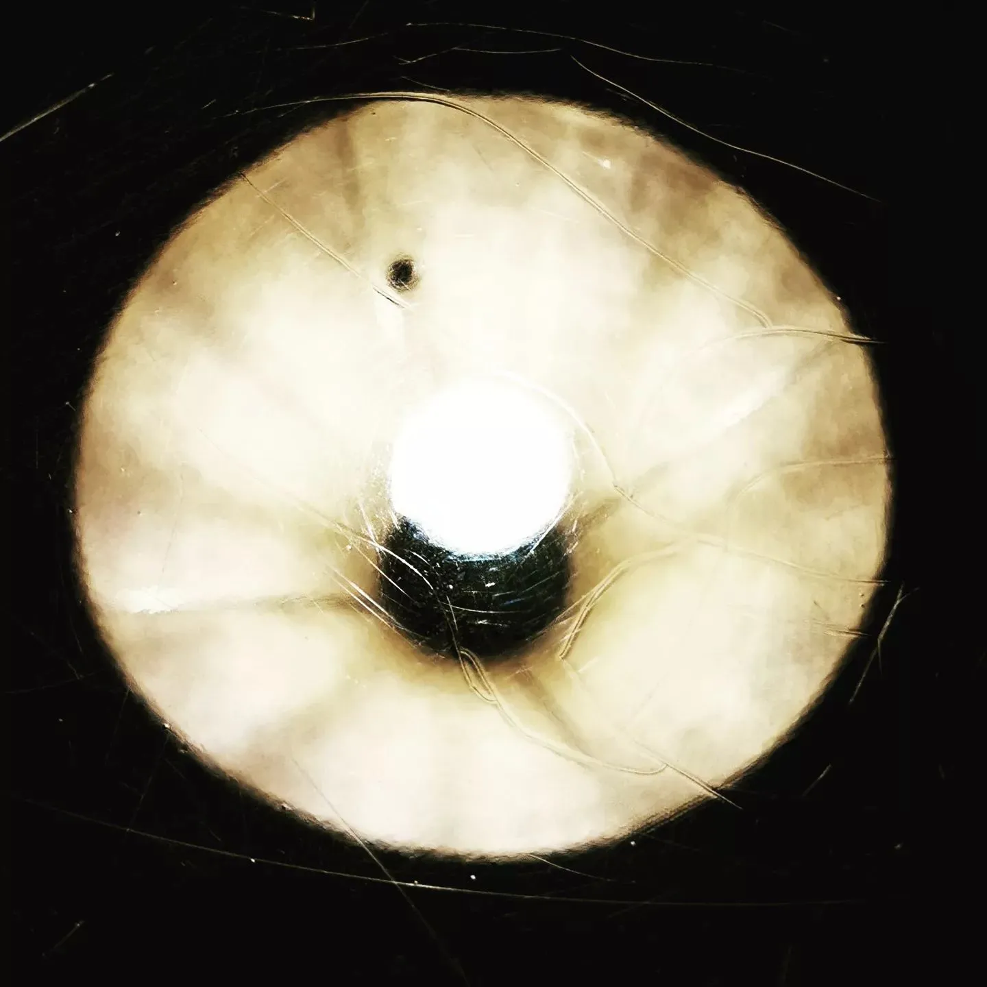 20230211173629_0_2.jpg