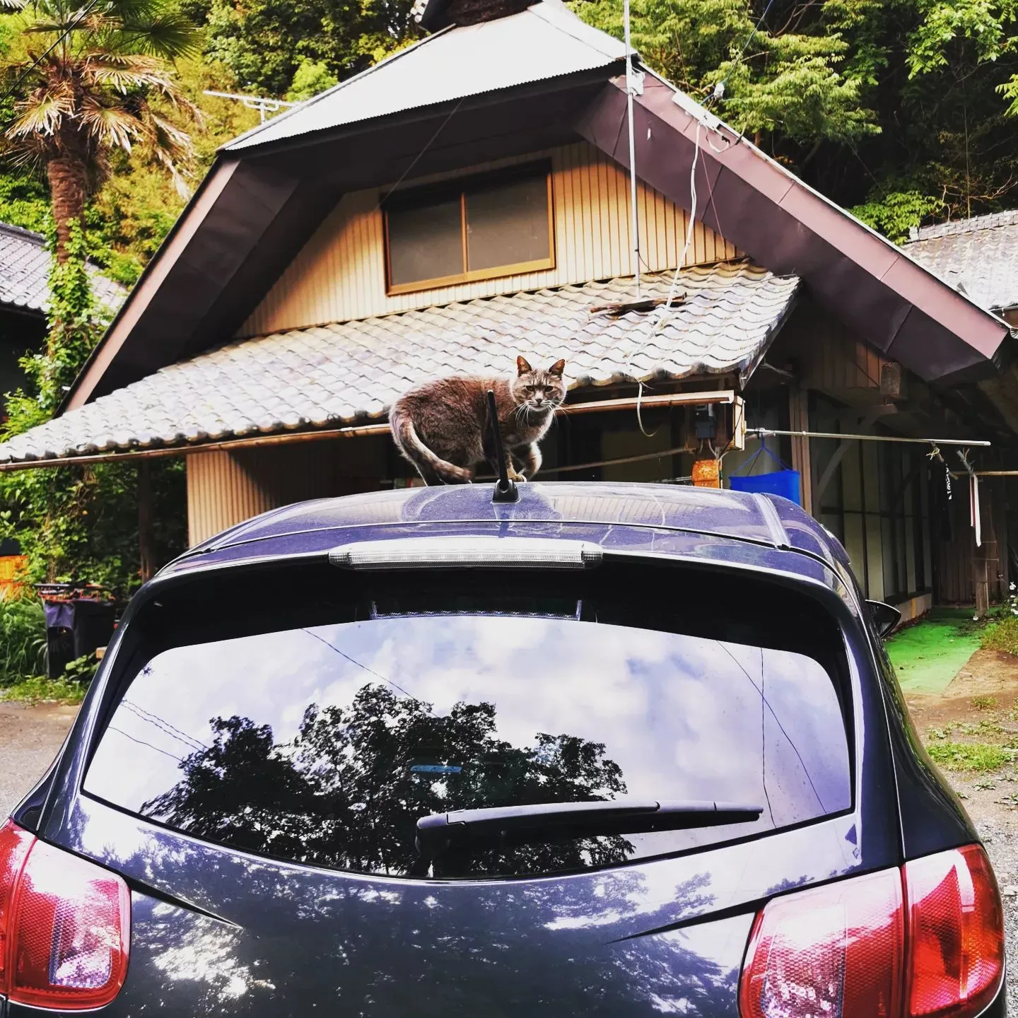 空の家はつもあなたを家族のようにお迎えします。
