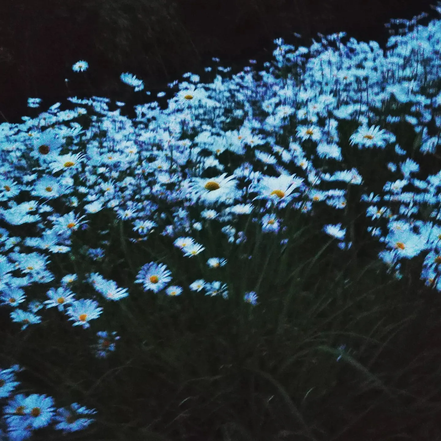20230520192456_0_4.jpg