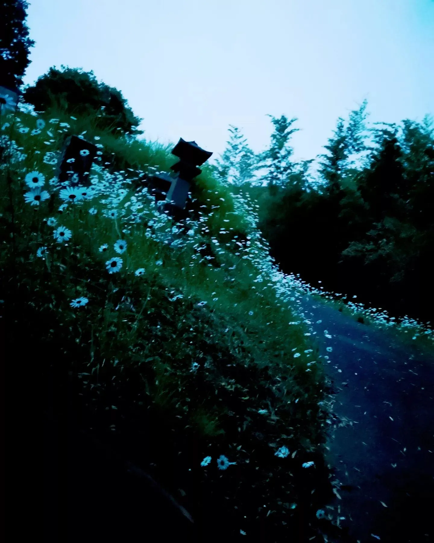 20230521214338_0_0.jpg