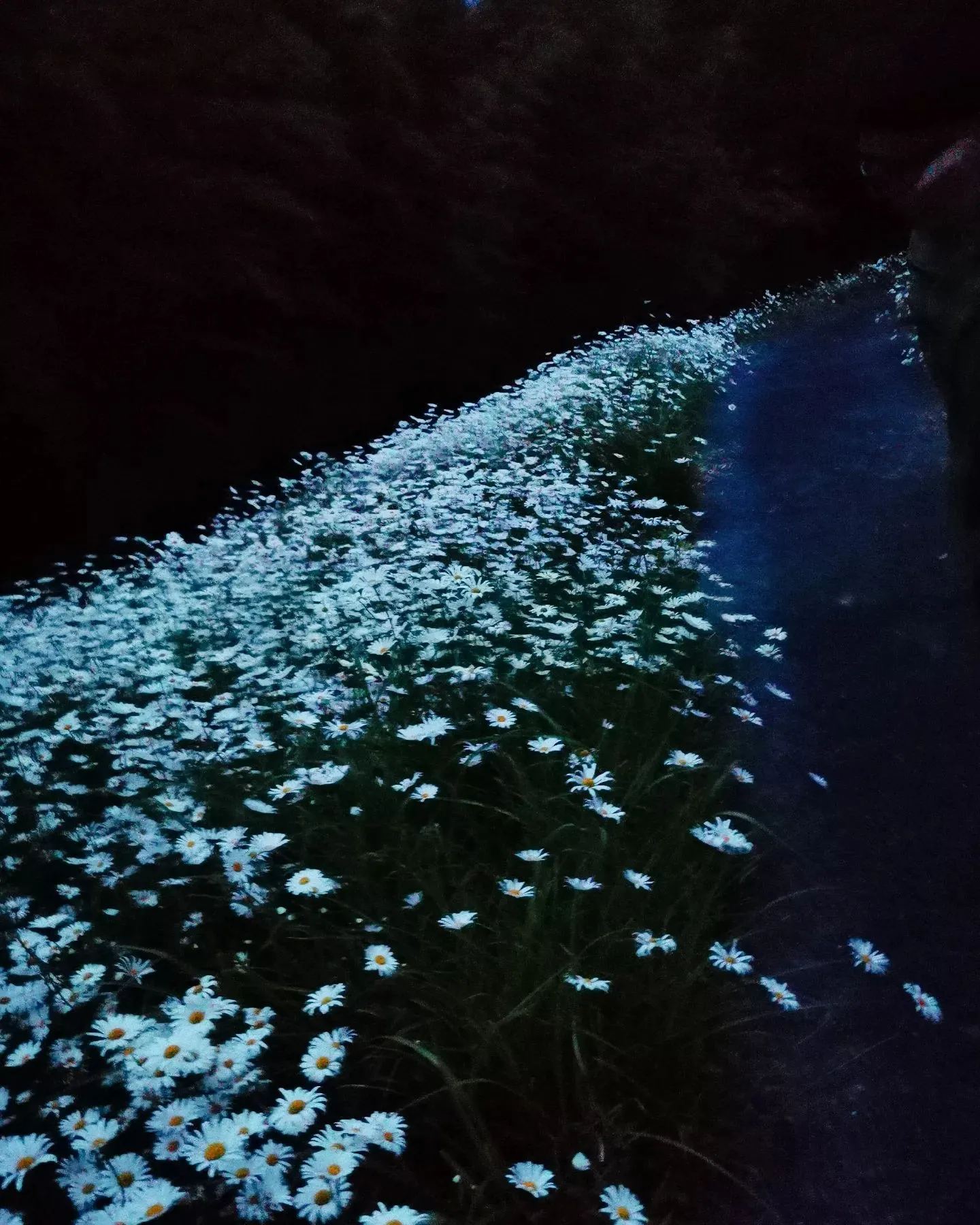 20230521214338_0_2.jpg