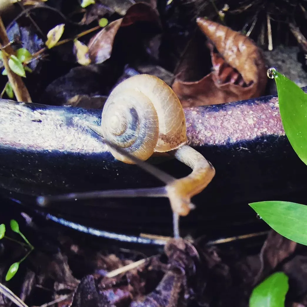 早起き最高。