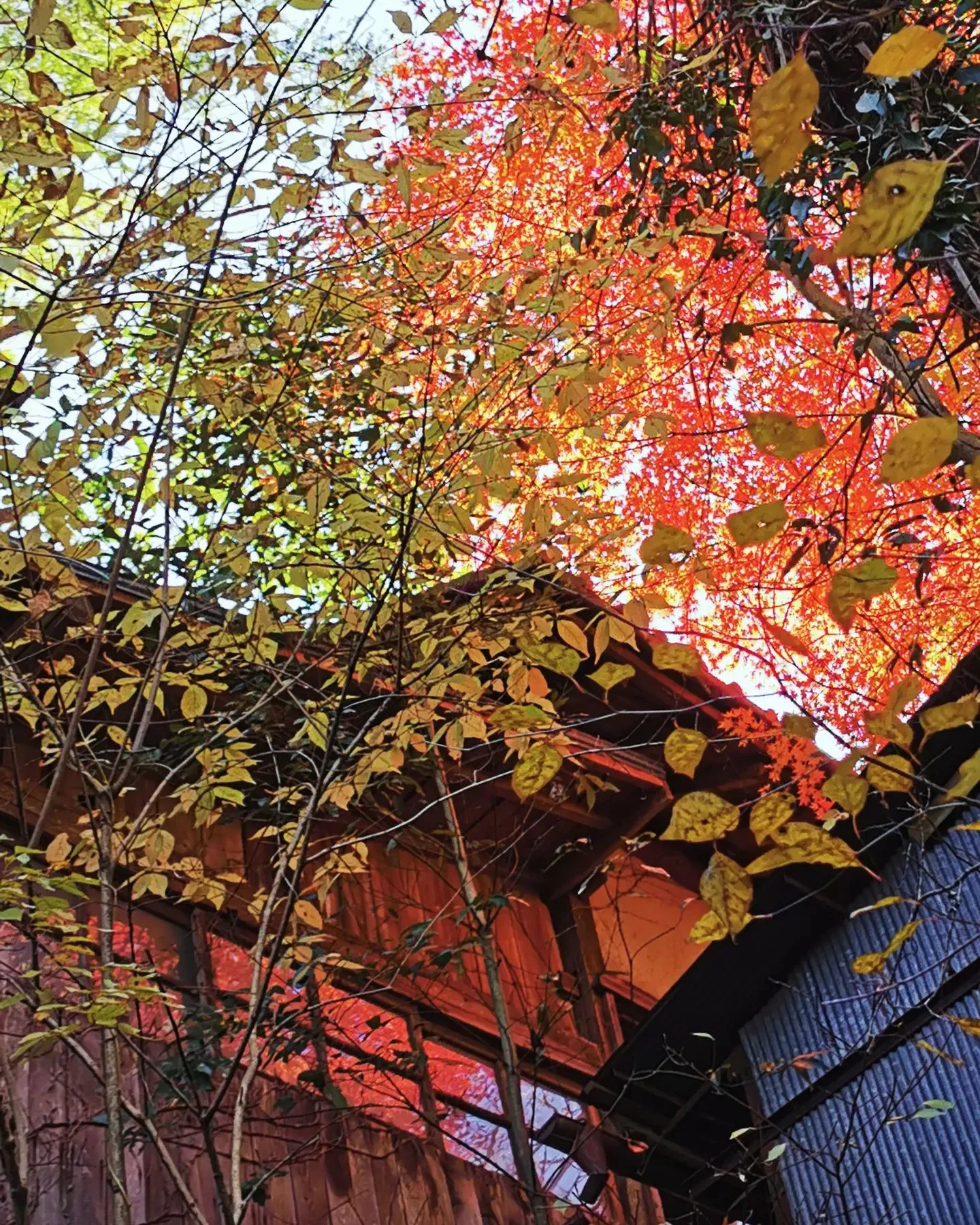 ちかはぎ空の家