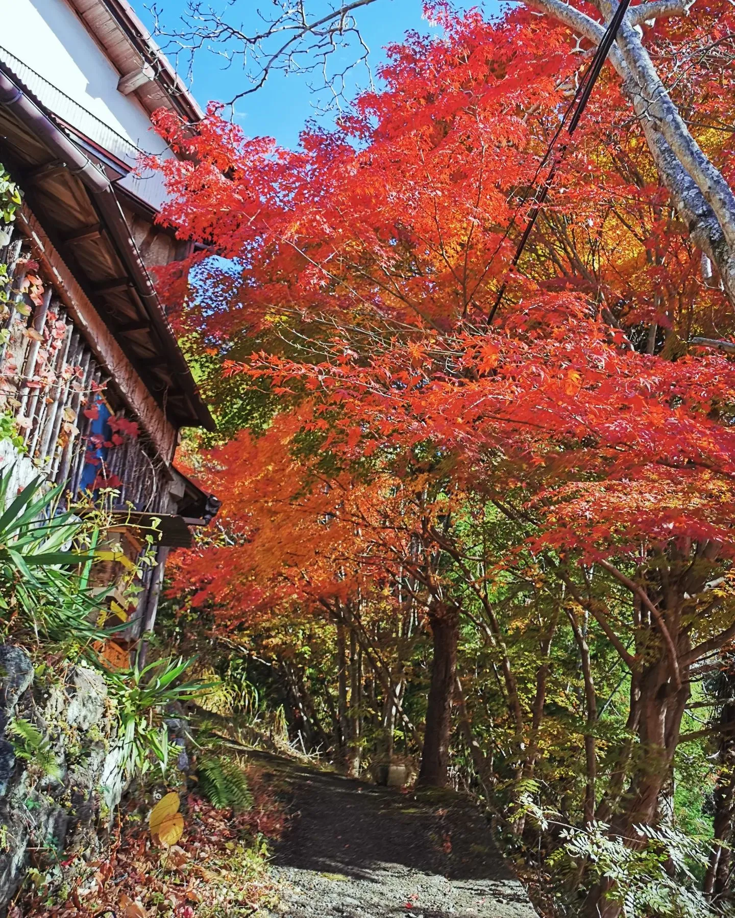 ちかはぎ空の家