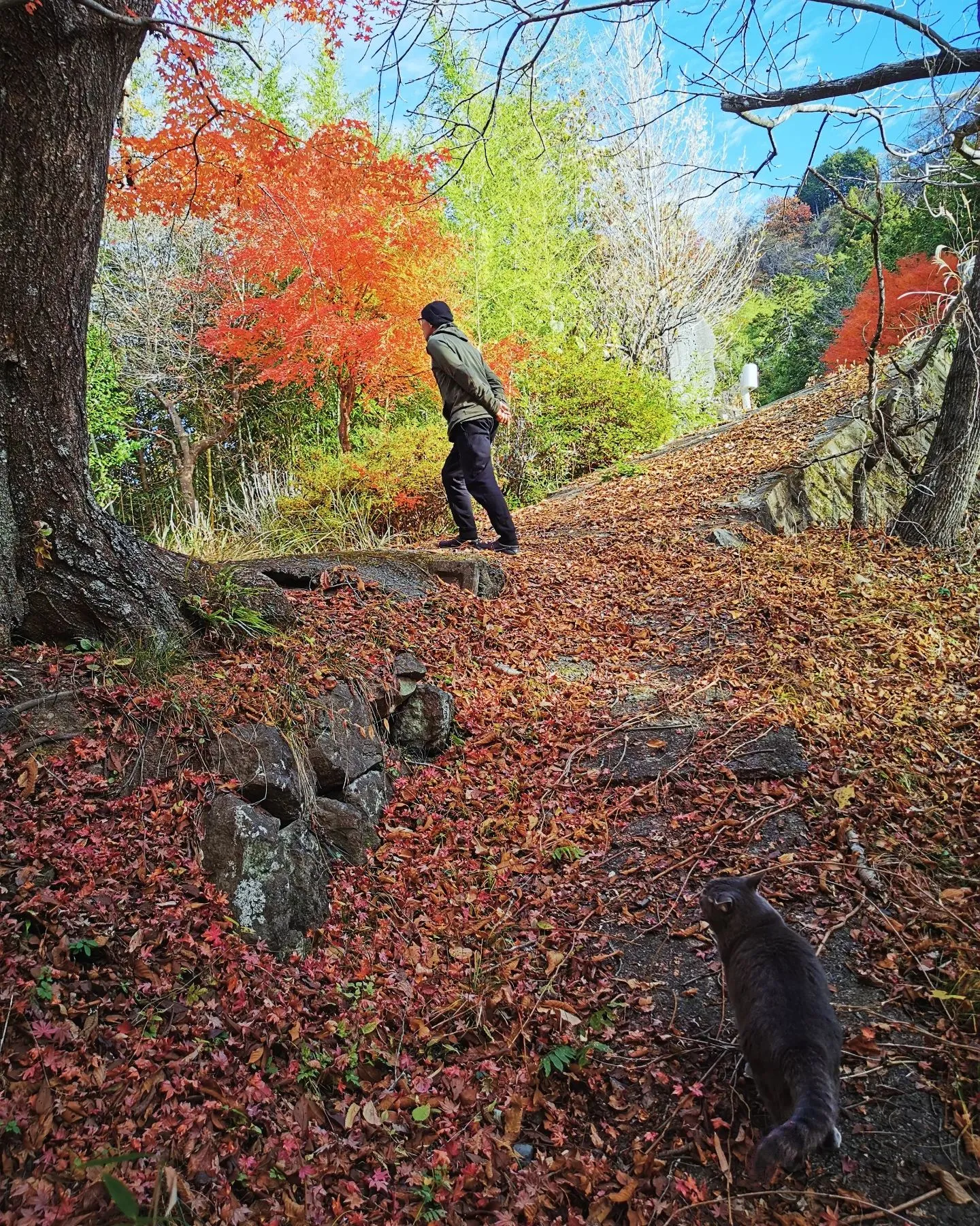 ちかはぎ空の家