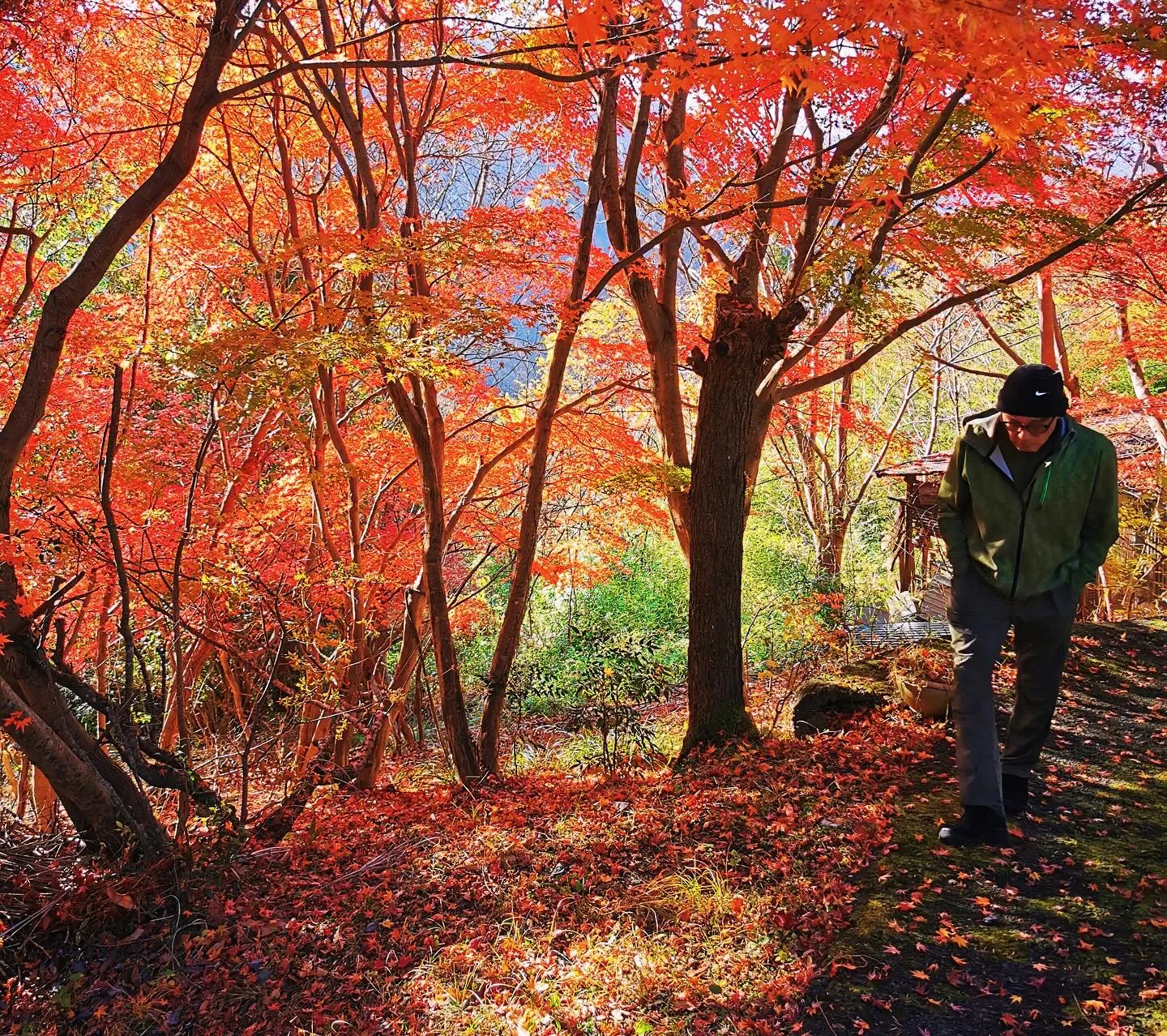 #neartokyo #JapaneseCountrysid...