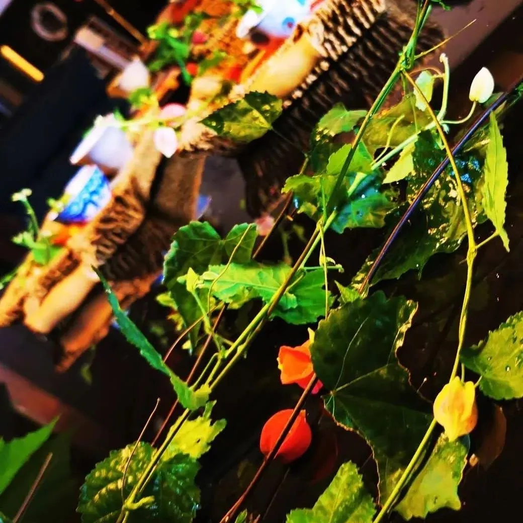 Enjoy Breakfast at Kuuhouse