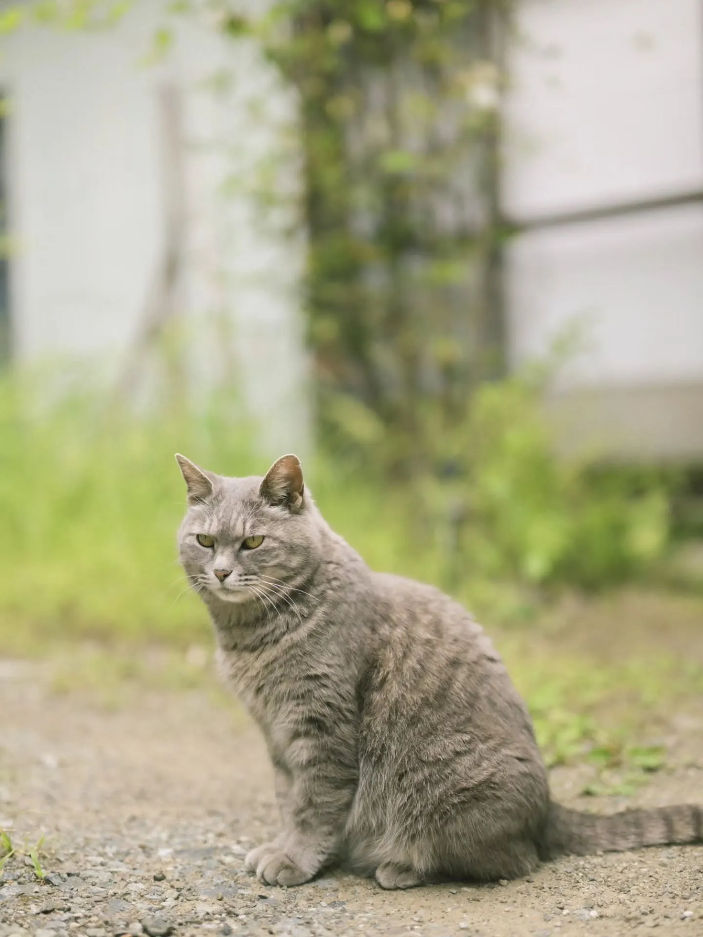 ・・・・・