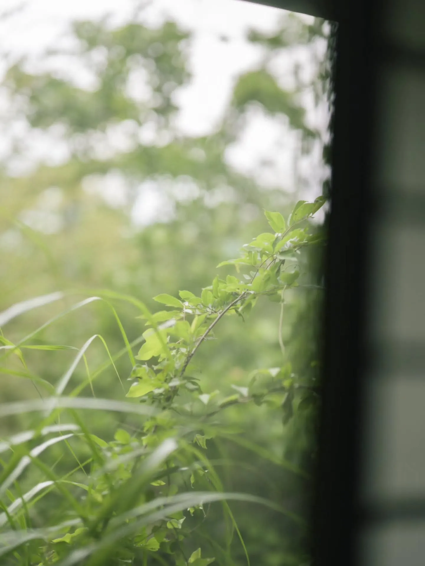 ・・・・・