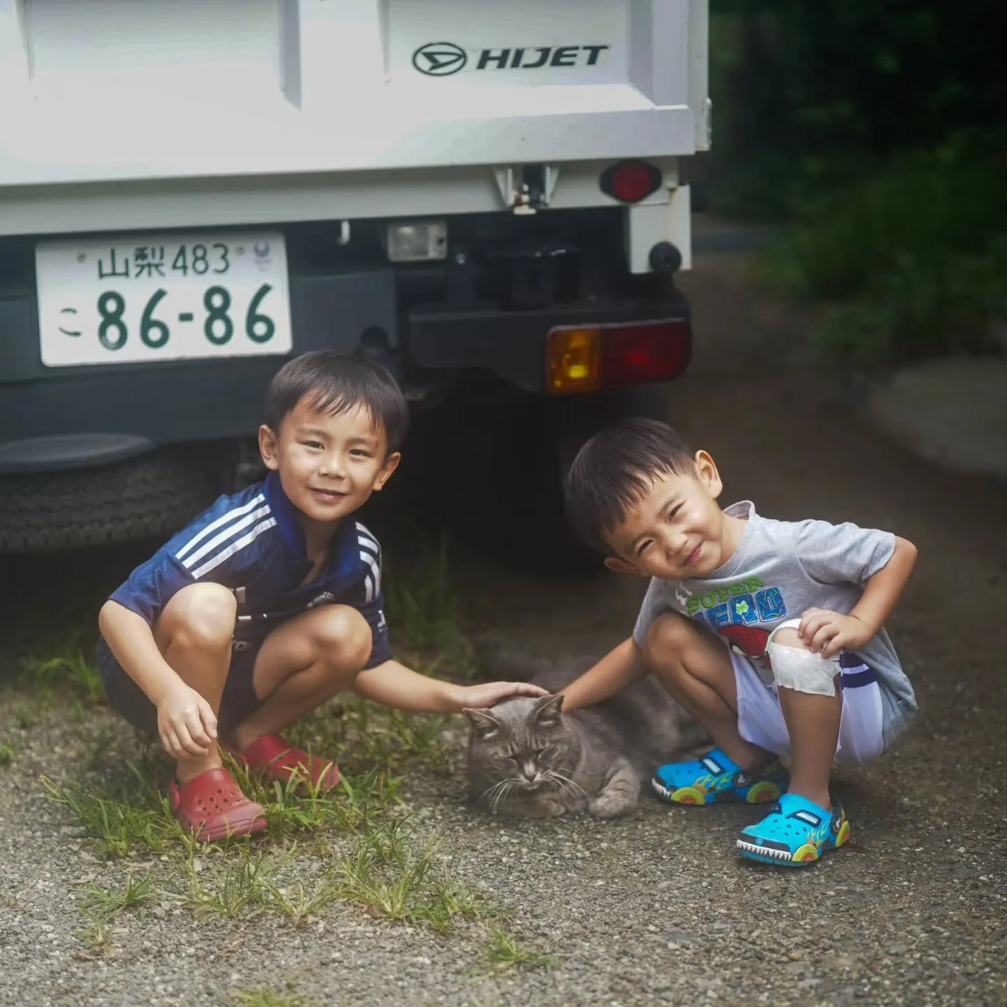 こちらの写真は全て
