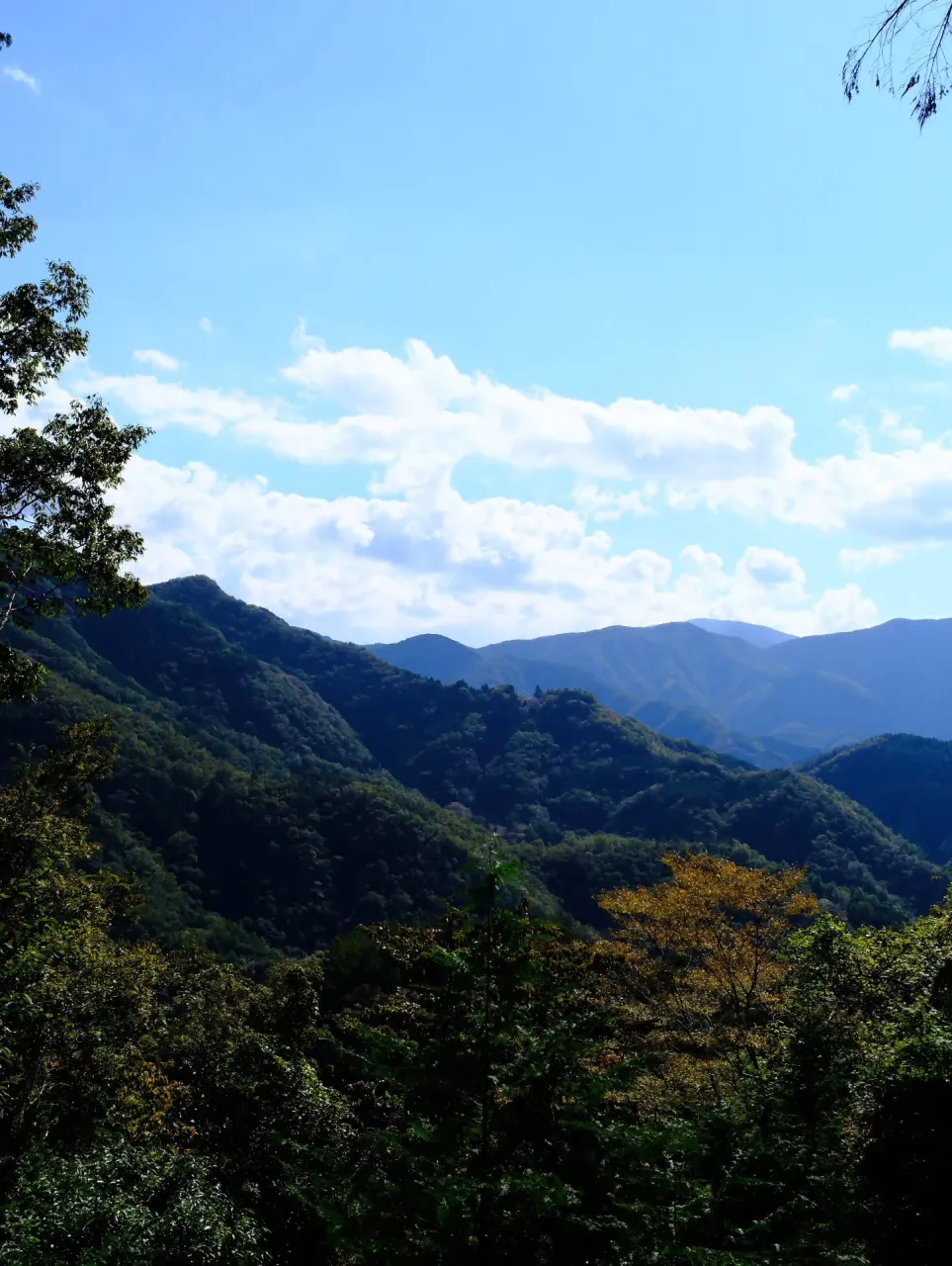 初めて覚えた