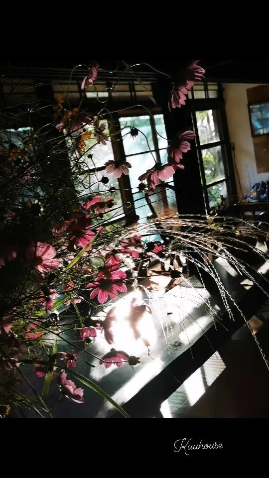 うつむく花の美しさが好きです。
