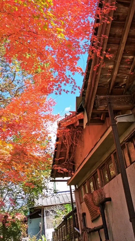 ちかはぎ空の家