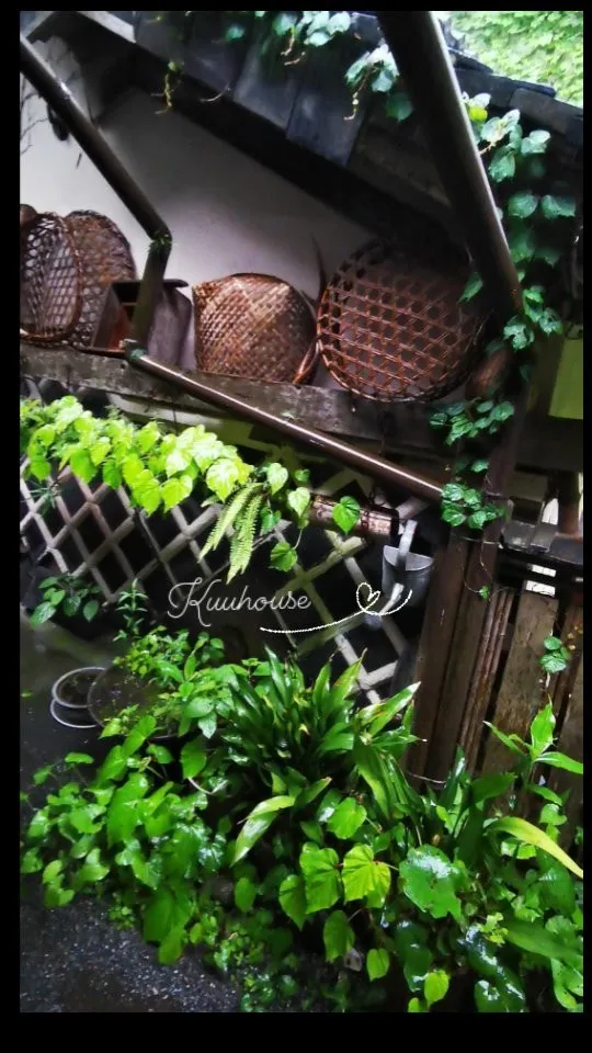 The beauty of Kuuhouse on a ra...