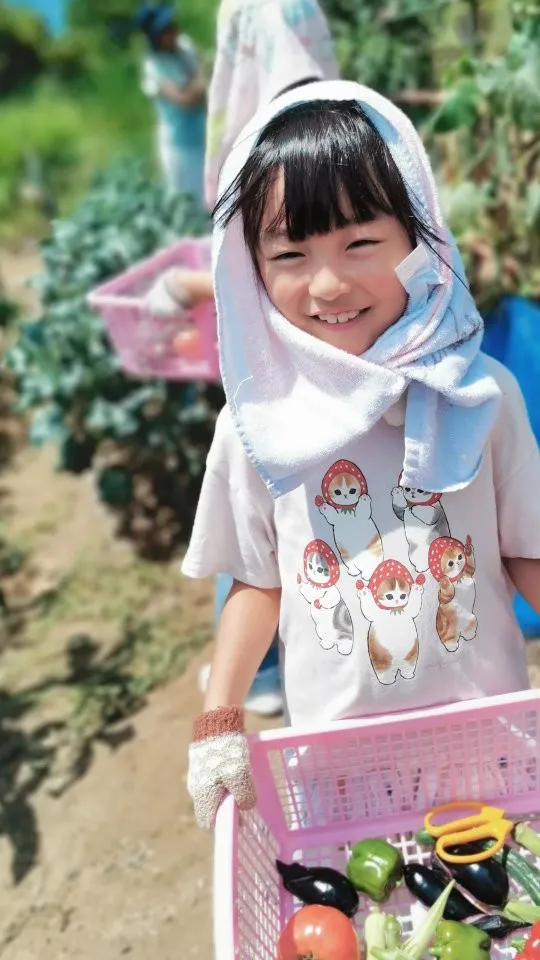 風の音　ゆれるひまわり