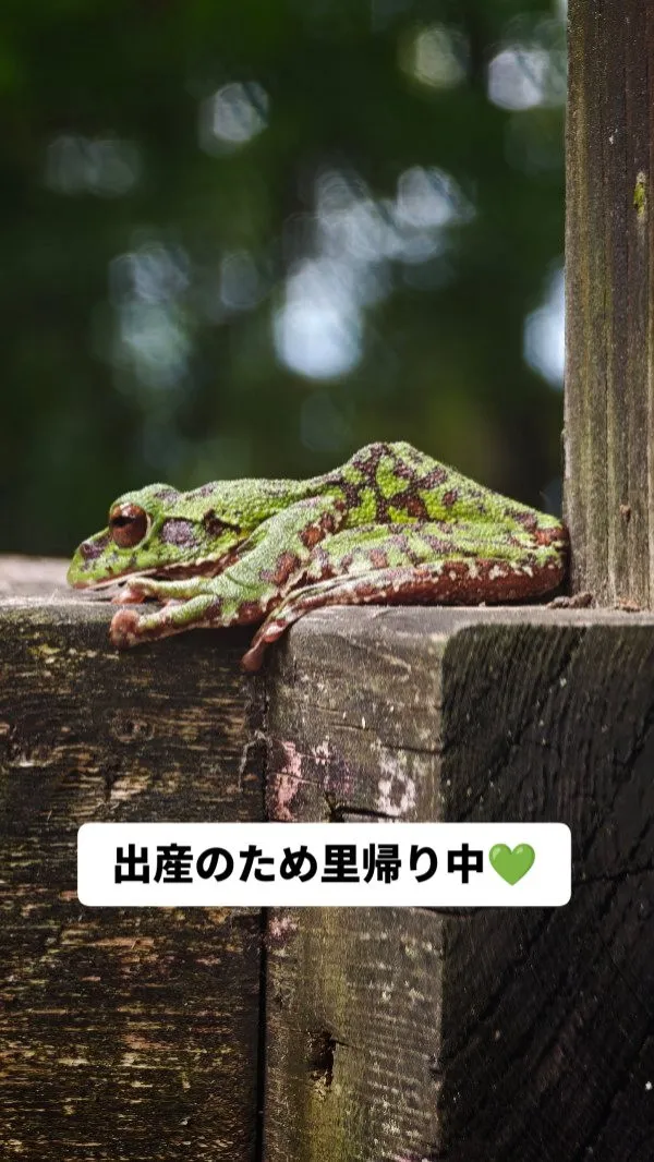 毎年この時期になると